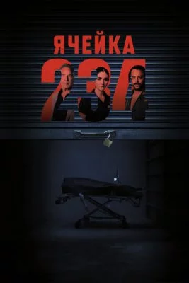 Ячейка 234